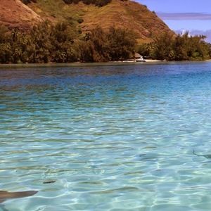 Meet your Posher, Nicollette